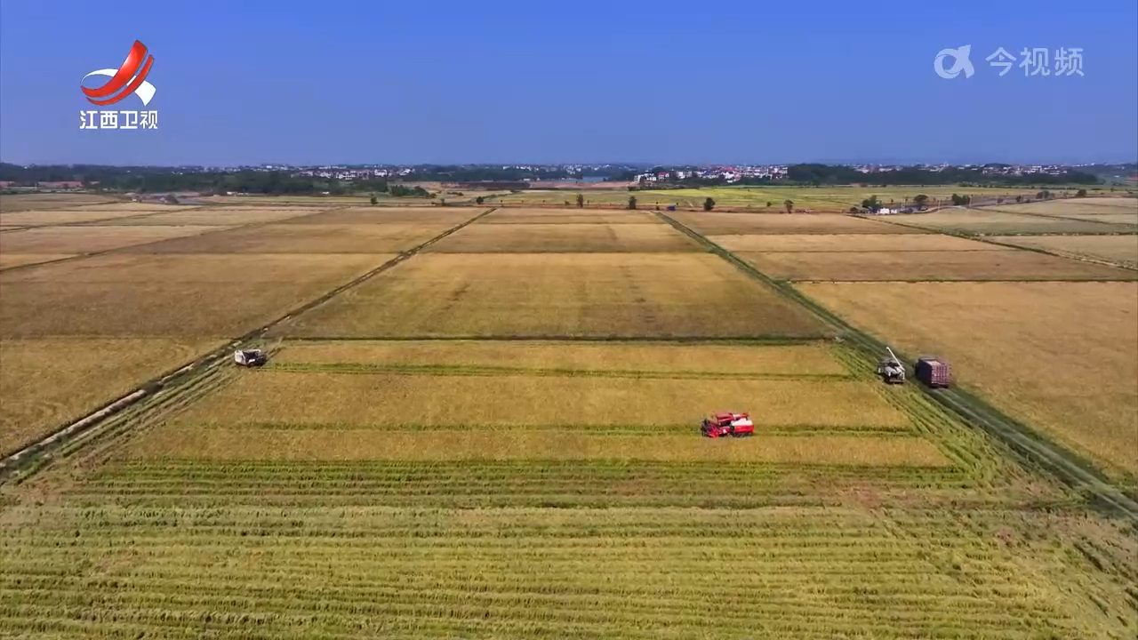 江西明年将启动第二轮土地到期延包试点