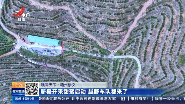 【赣闻天下】赣州崇义：脐橙开采甜蜜启动 越野车队都来了