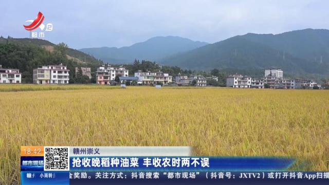 赣州崇义：抢收晚稻种油菜 丰收农时两不误