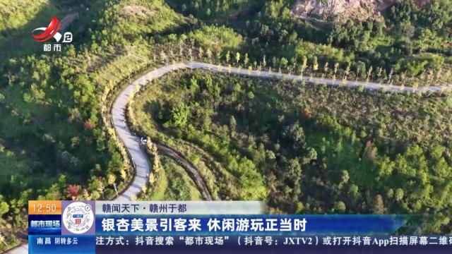 都市现场·午间版20251110