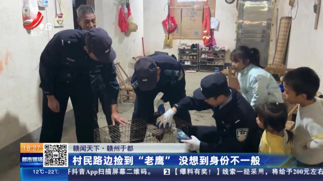 【赣闻天下】赣州于都：村民路边捡到“老鹰” 没想到身份不一般