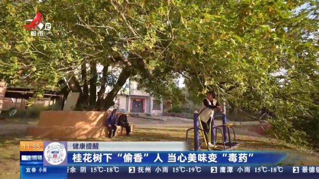 都市现场·午间版20251109