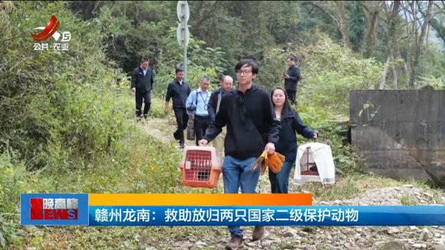 赣州龙南：救助放归两只国家二级保护动物