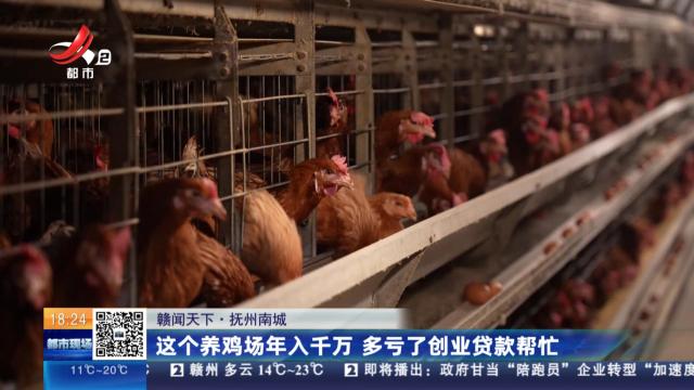 【赣闻天下】抚州南城：这个养鸡场年入千万 多亏了创业贷款帮忙