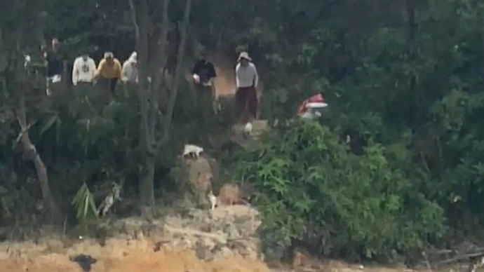 长天新闻丨江右锐评：水库放生猫，警惕以“放生”为名的“伪善”