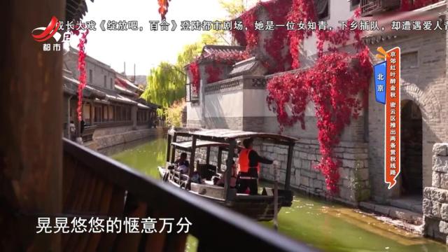 北京——京郊红叶醉金秋 密云区推出两条赏秋线路