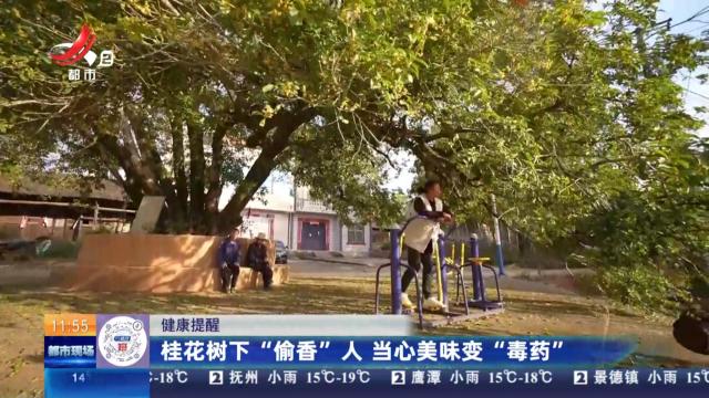 【健康提醒】桂花树下“偷香”人 当心美味变“毒药”