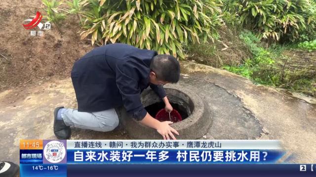 都市现场·午间版20251103