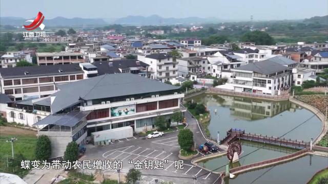 社会传真20251115 特色产业“链”动乡村