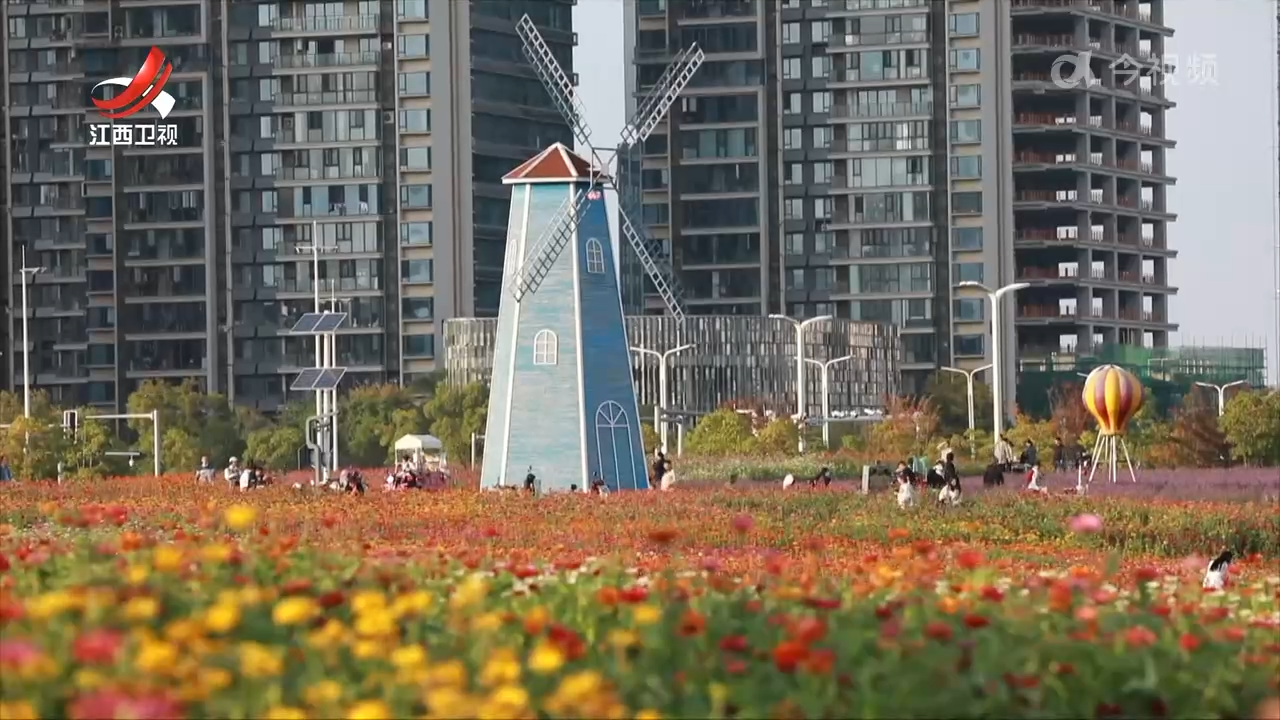 【我的城 我的家】城市更新“走心” 生活更美更舒心