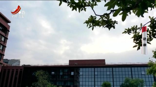 乡村栏目剧场20251118 逆袭