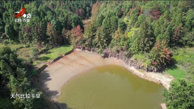 省委民声通道20251116