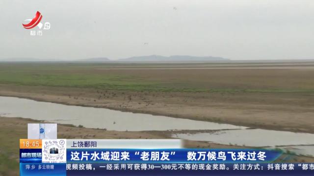 上饶鄱阳：这片水域迎来“老朋友” 数万候鸟飞来过冬