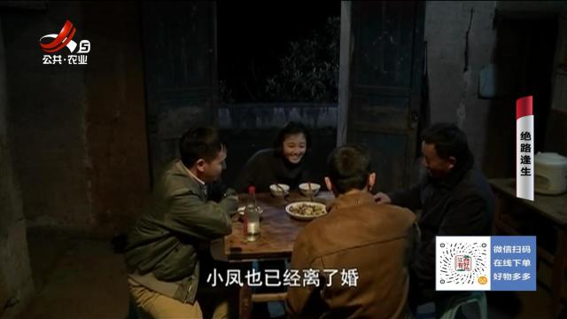 乡村栏目剧场20251110 绝路逢生