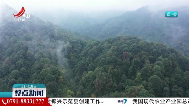 到2030年国有林场单位面积森林蓄积量将提高约5％