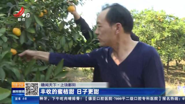 【赣闻天下】上饶鄱阳：丰收的蜜桔甜 日子更甜