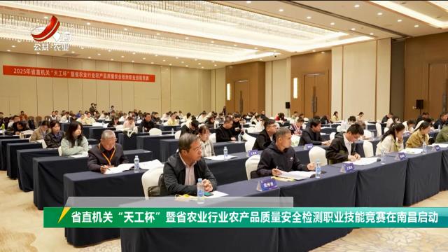 三农头条20251119