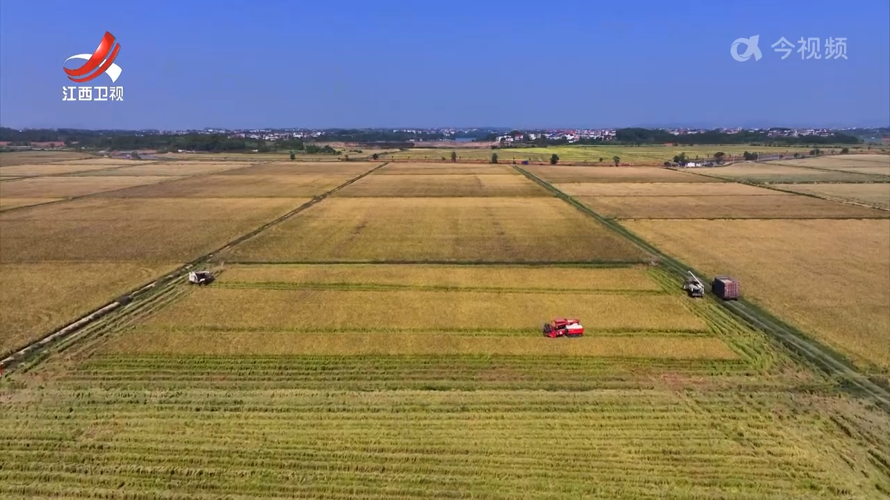 江西实施“种粮一体化”行动