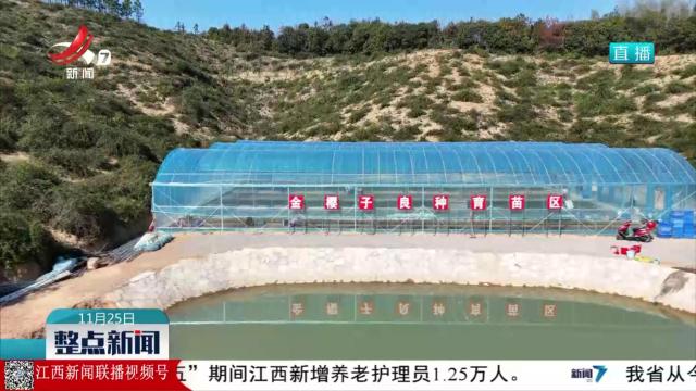 德安：发展金樱子特色产业 打通乡村振兴“甜蜜”路径