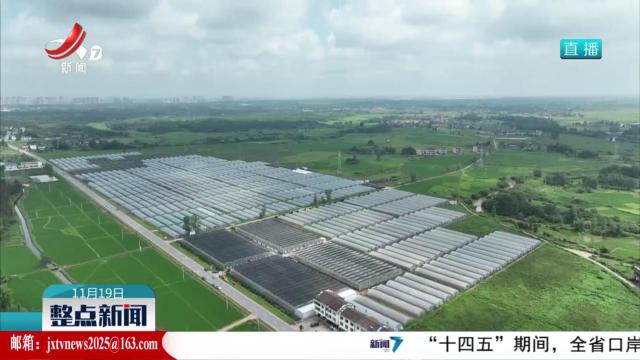 “沿着高速看当代江西国企”：抚州市农垦集团探路三产融合