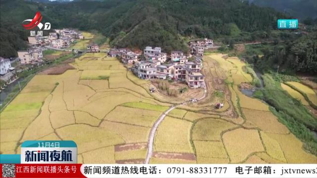 金秋时节秋粮稳产鱼满仓