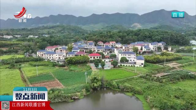 整点新闻20251103 12:00