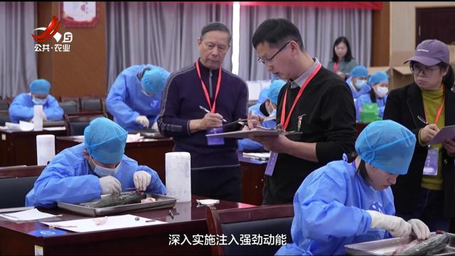 三农头条20251117