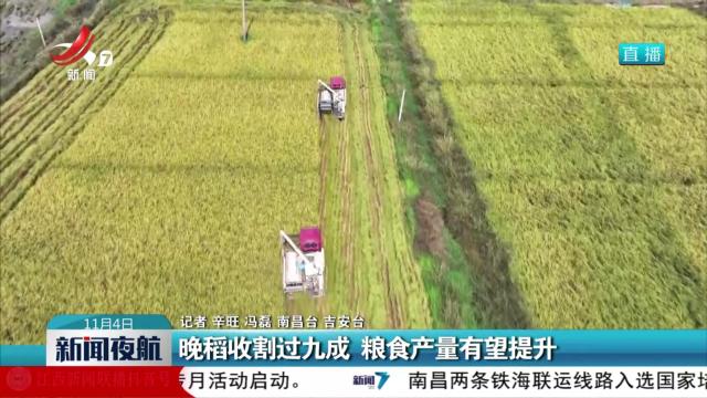 晚稻收割过九成 粮食产量有望提升