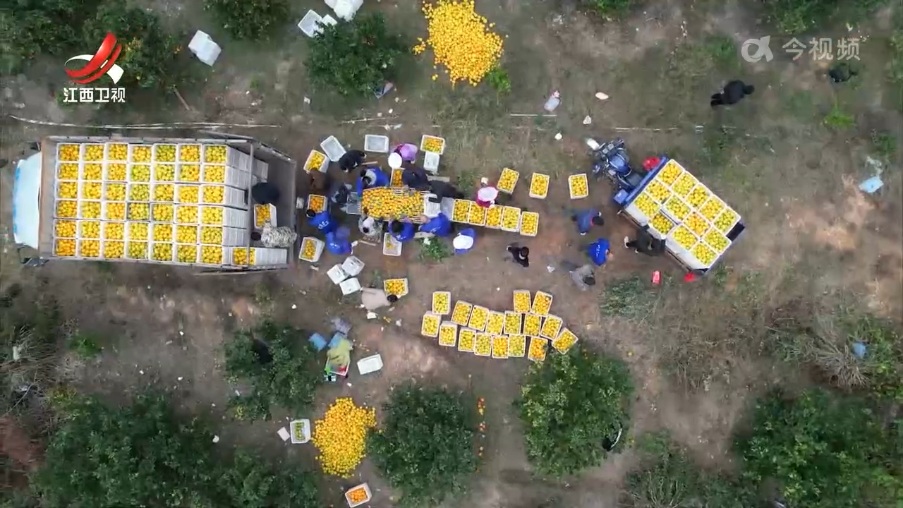 江西新闻联播20251101