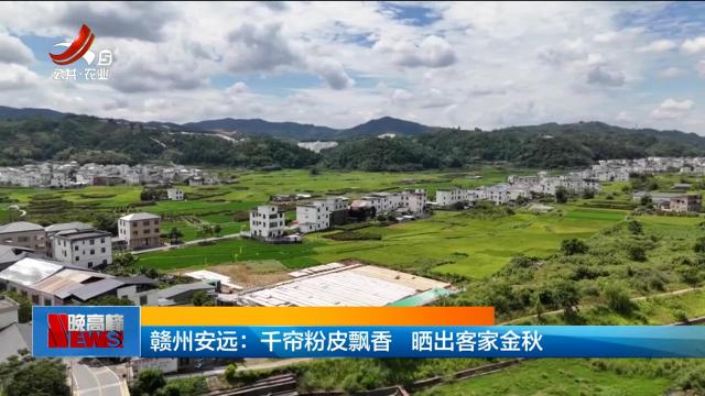 赣州安远：千帘粉皮飘香 晒出客家金秋