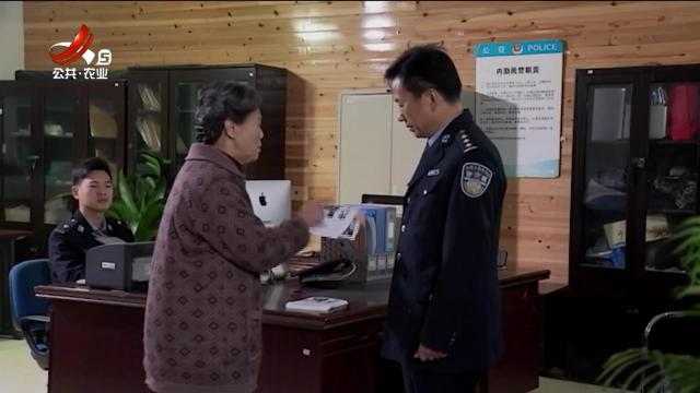 乡村栏目剧场20251114 奶奶的樱桃树