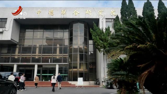 新闻晚高峰20251125