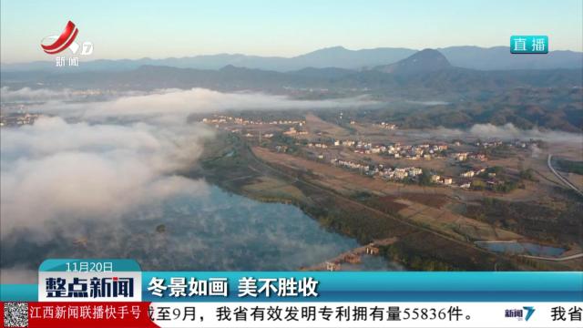 冬景如画 美不胜收