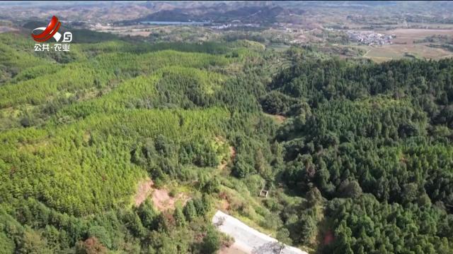 省委民声通道20251108