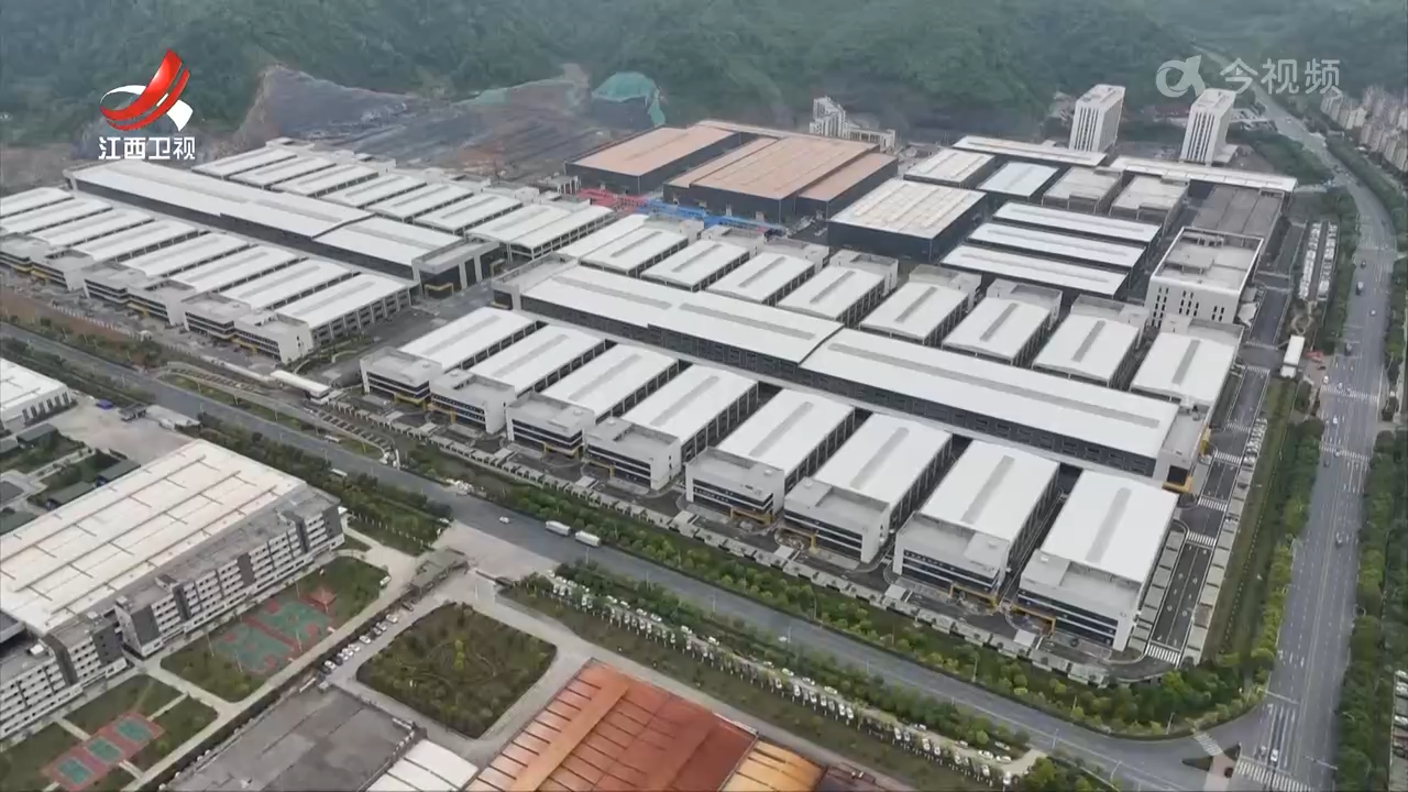 【改革在行动】修水：从“零”到“林” 山区县实现弯道超车