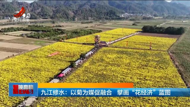 九江修水：以菊为媒促融合 擘画“花经济”蓝图