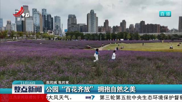 【我的城 我的家】公园“百花齐放” 拥抱自然之美