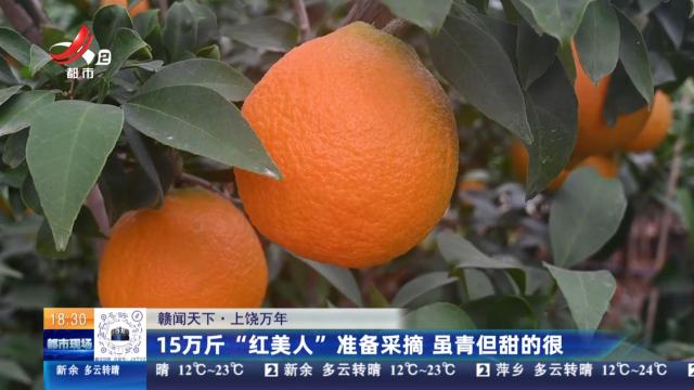 【赣闻天下】上饶万年：15万斤“红美人”准备采摘 虽青但甜的很