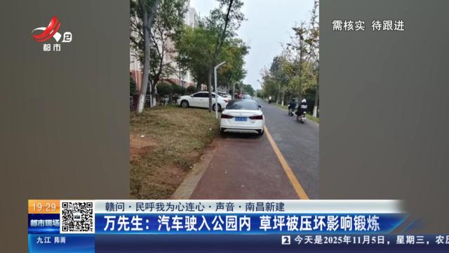 【赣问·民呼我为心连心·声音·南昌新建】万先生：汽车驶入公园内 草坪被压坏影响锻炼