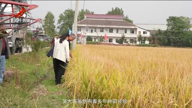 稻花香里20251112 乡村振兴进行时——直击测产一线：稻届“一哥”有实力