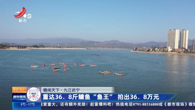【赣闻天下】九江武宁：重达36.8斤鳙鱼“鱼王” 拍出36.8万元