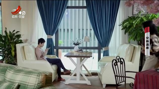 乡村栏目剧场20251104 交换温柔