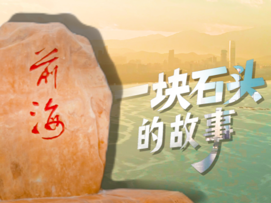 一块石头的故事 