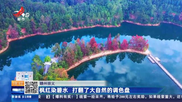 赣州崇义：枫红染碧水 打翻了大自然的调色盘