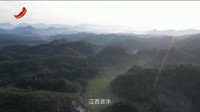 稻花香里20251104 乡村振兴进行时——一颗野果香全球