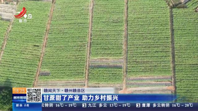 【赣闻天下】赣州赣县区：甘蔗甜了产业 助力乡村振兴