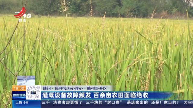 【赣问·民呼我为心连心】赣州经开区：灌溉设备故障频发 百余亩农田面临绝收