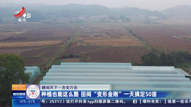 都市现场·午间版20251106