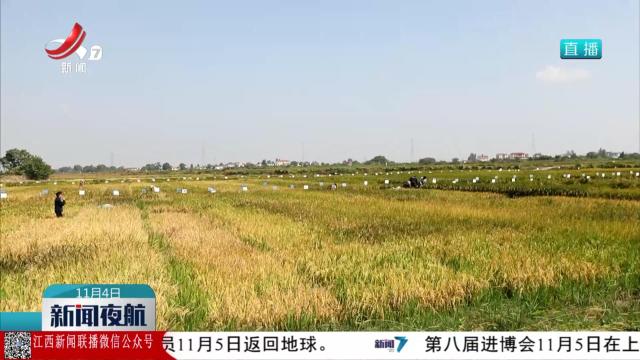 新闻夜航20251104