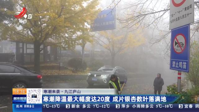 【寒潮来袭】九江庐山：寒潮降温最大幅度达20度 成片银杏数叶落满地